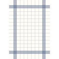 Duni Bistro Compostable Towel Napkins Blue Check 380 X 540mm (Pack Of 250) - CY523