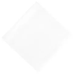 Duni Compostable Dinner Napkins White 400mm (Pack Of 720) - GJ121