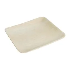 Fiesta Green Biodegradable Palm Leaf Plates Square 200mm (Pack Of 100) - DK376