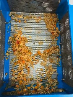 Empire Grease Guzzle HDPE Food Waste Filter Trap - P-PFW1 -Kitchenware Outlet grease guzzle hdpe food waste filter trap p pfw1 176921 p5B35D